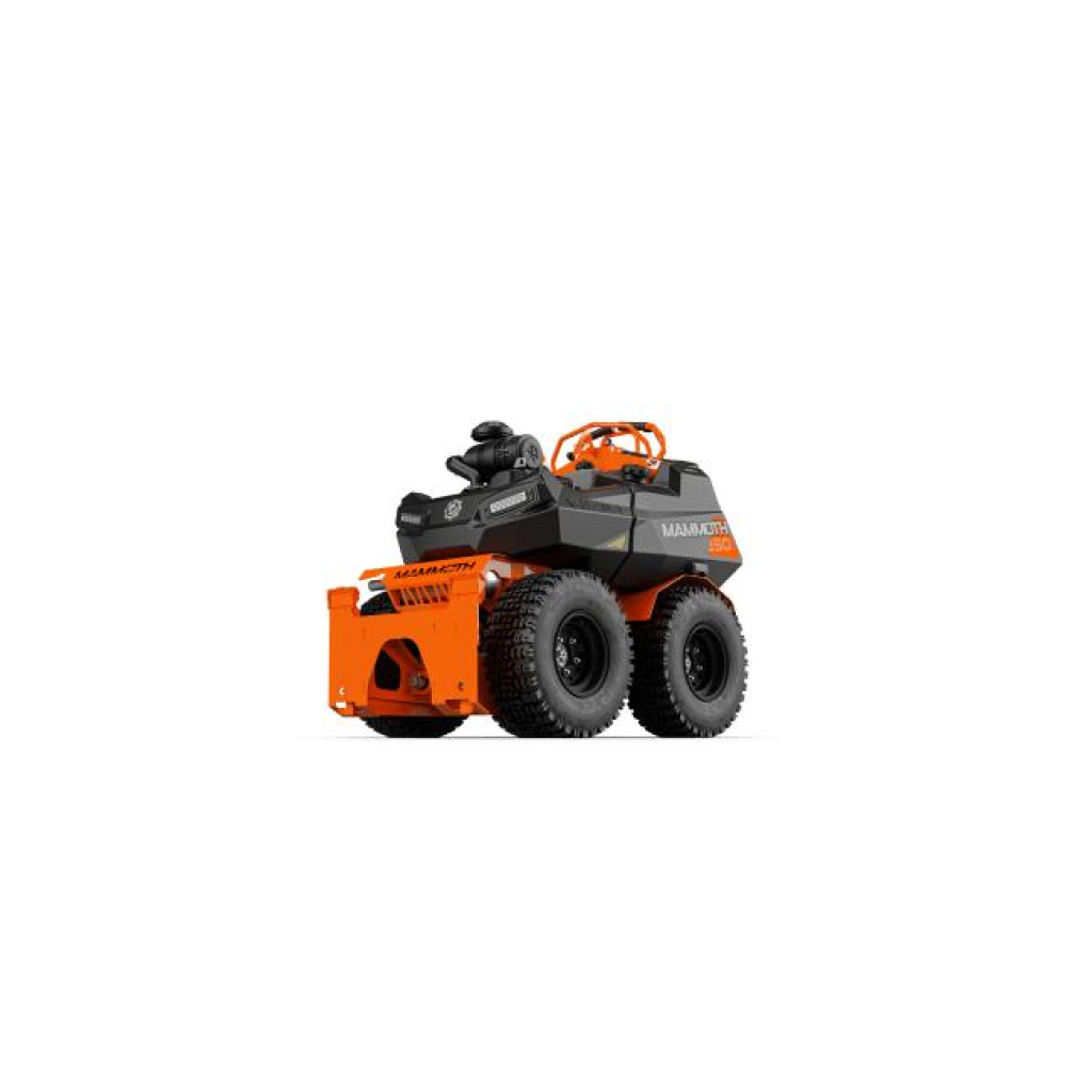 ARIENS Mammoth Stand-On