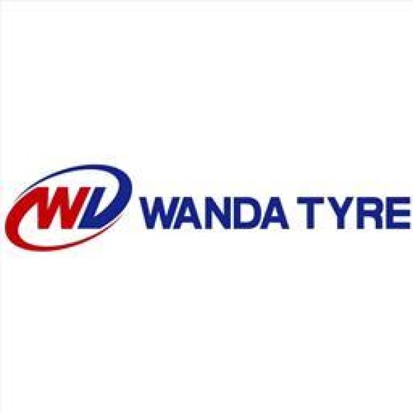 Wanda P350 E4 6L 25/10-12 (255/65-12) - Bilde 2